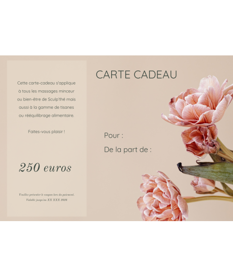 Carte cadeau valeur 250 euros